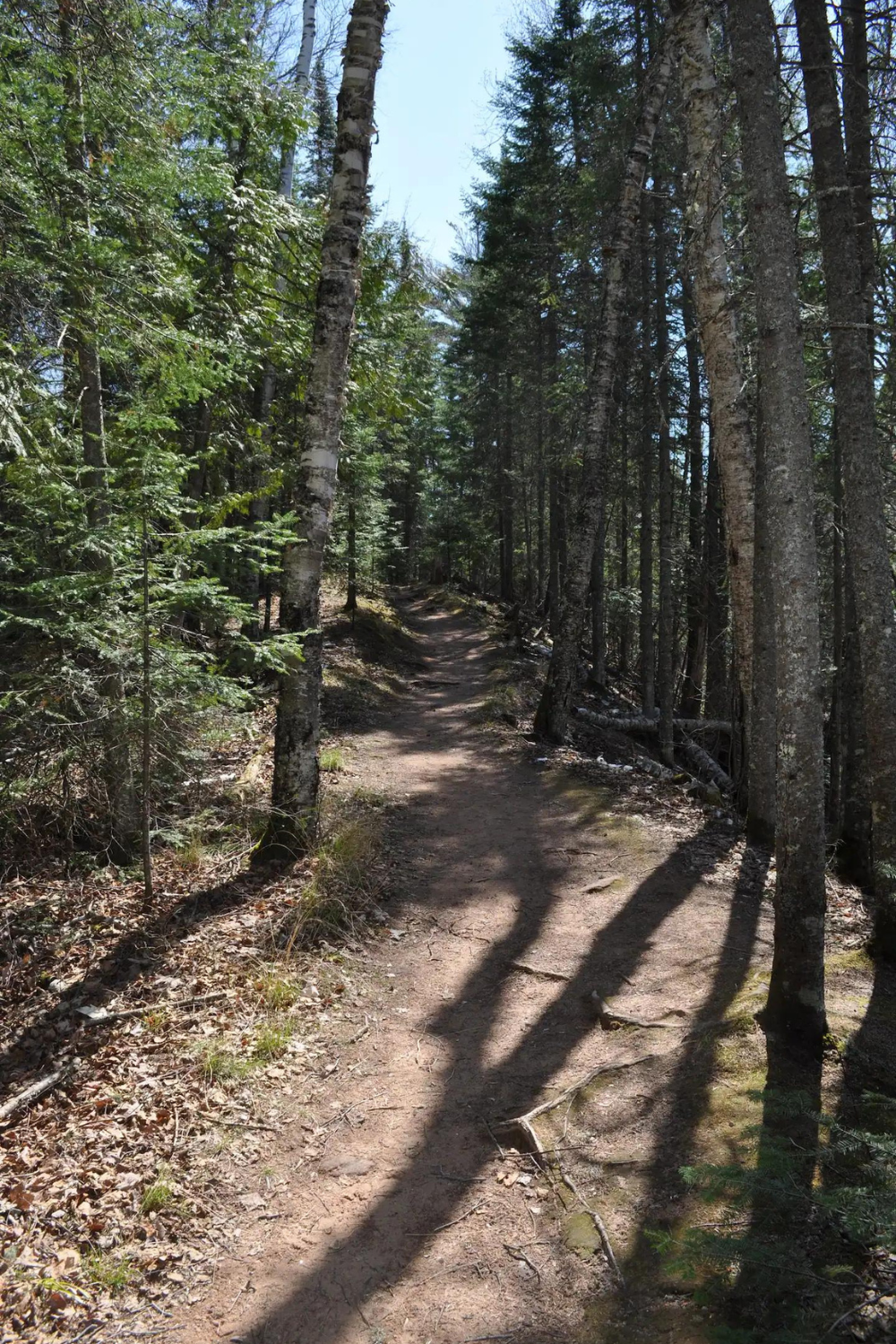 Aerial view of Superior Shores showing sandy Lake Superior shoreline, dense woodlands, and the retreat's secluded location